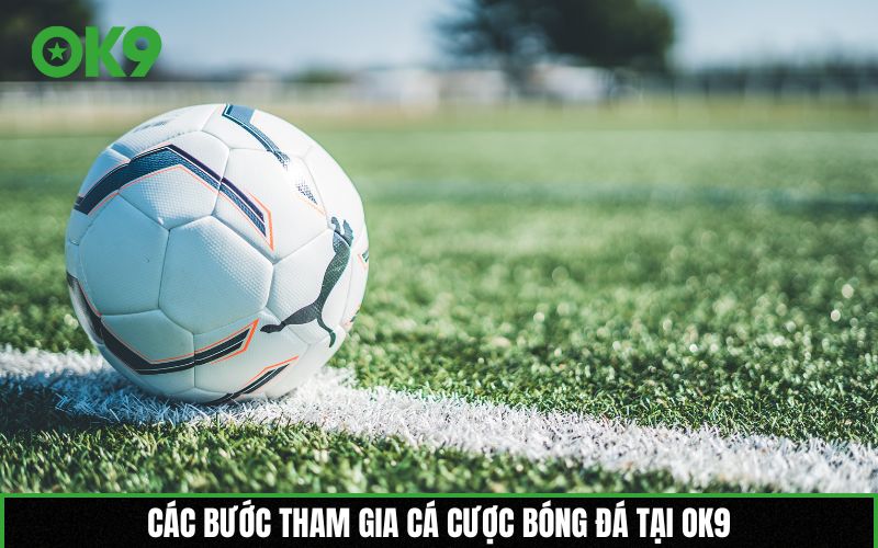 Các bước tham gia cá cược bóng đá tại OK9