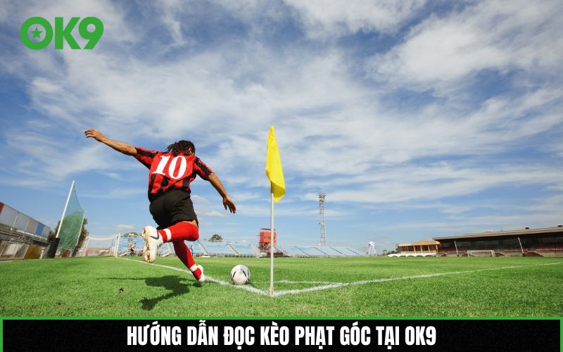 Hướng dẫn đọc kèo phạt góc tại OK9