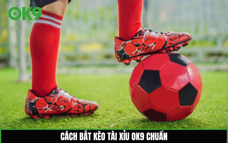 Cách bắt kèo Tài xỉu OK9 chuẩn