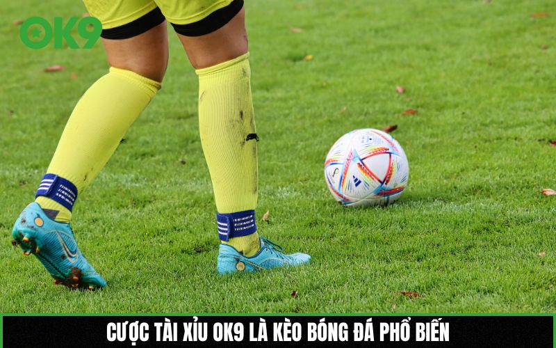 Cược Tài xỉu OK9 là kèo bóng đá phổ biến