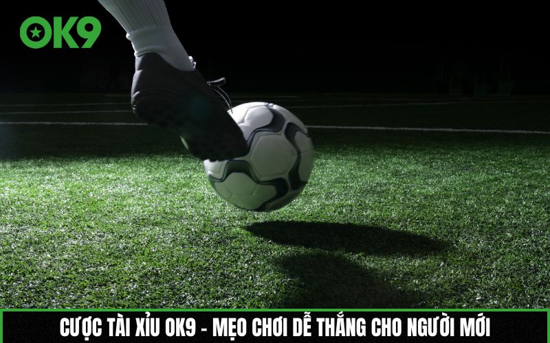 Cược Tài Xỉu OK9 – Mẹo chơi dễ thắng cho người mới